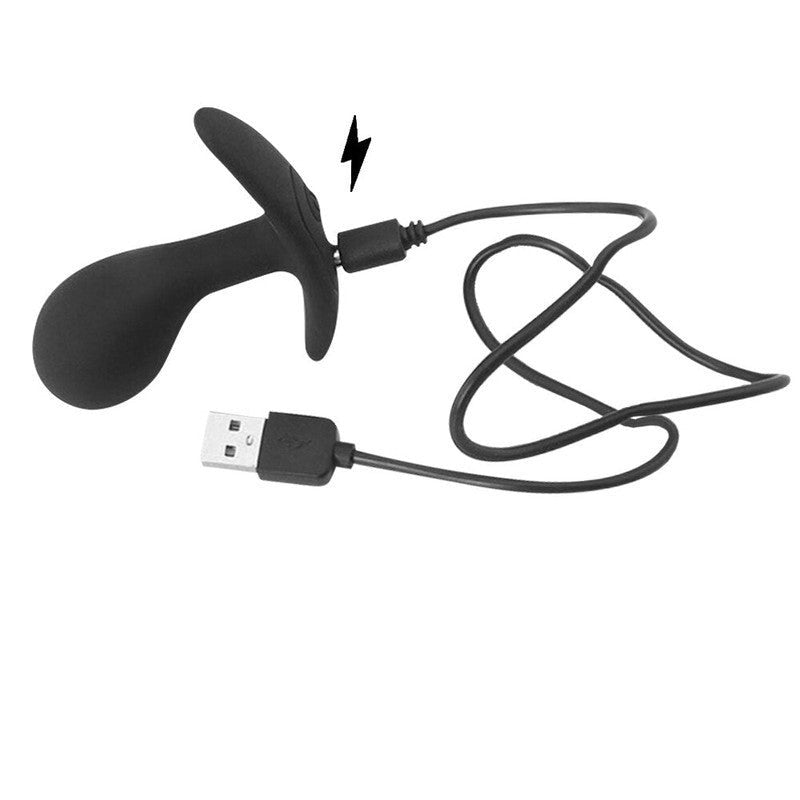Plug Anal Vibrant Avec Ailes Lumineuses - Télécommande USB - Noir - Pour Hommes Et Femmes